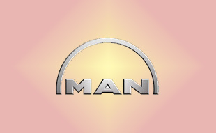 ✓ MAN 81.32739.0007 Запчасти МАН (MAN) 